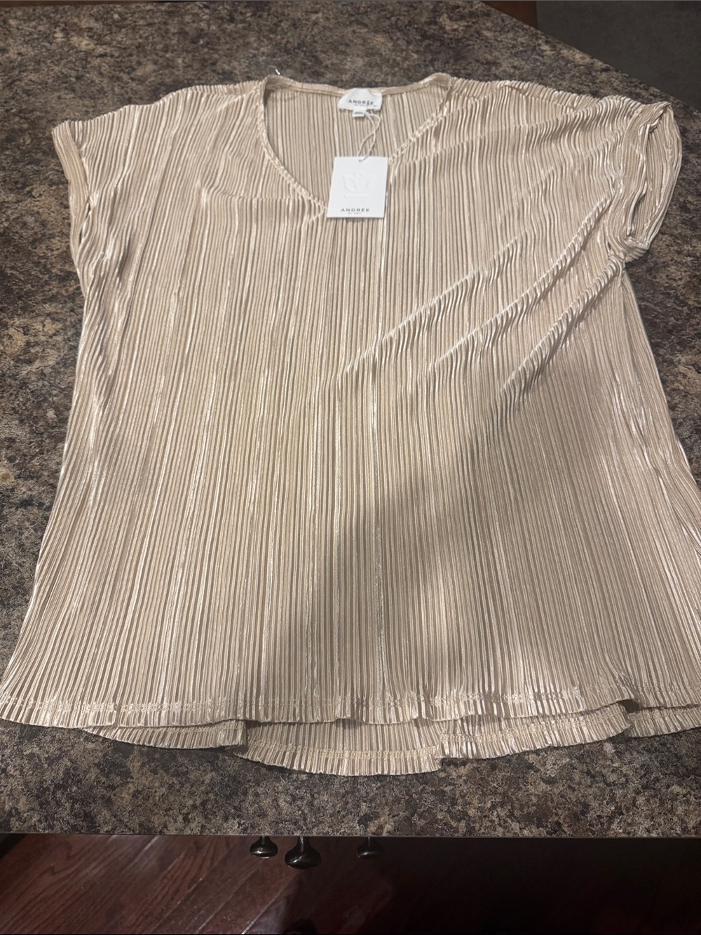 ANDREE BY UNIT Metallic Pleated V-Neck Short Sleeve Top - Champagne